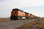 BNSF 5686